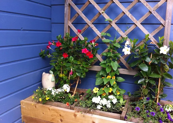 D'hotes Le Mont D'anon Nocleg ze śniadaniem Goviller